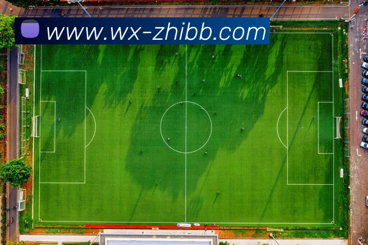 直播吧品牌故事