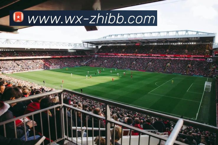 App Interface Preview